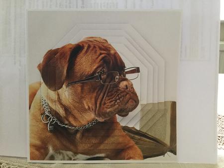 Furry Friends & Familiars - Dogs - Dog in Glasses +tag+ by Michelle Wesley
