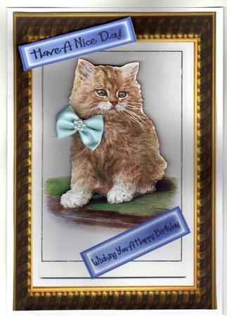 Cute Little Kitten with Blue Bow in Gold Frame by Kay Bowley
