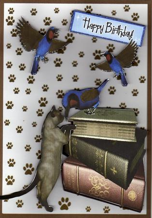 We Will Have to Stop Meeting Like This! Cheeky Little Birds by Kay Bowley