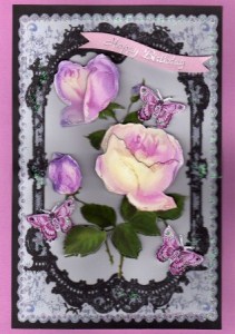 Elegant Pink Roses in Black Lace Frame by Kay Bowley