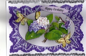 Beautiful Lavender Flowers on Purple Frame by Kay Bowley