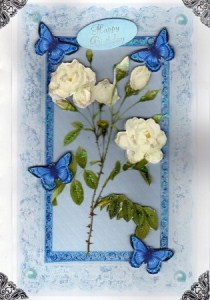 Cream Roses on Lace Frame Quick Card by Kay Bowley