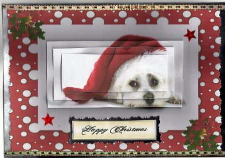 Cute Little Westie Puppy with Santa Hat on Pyramids by Kay Bowley