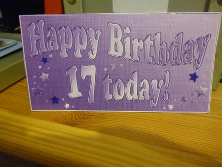 17th Birthday Metallic Age Money or Gift Wallet and Card by Nicky Croft