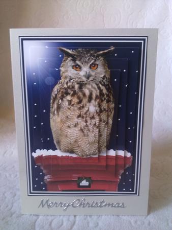 Eagle Owl Christmas Post Box Pyramid by Nicky Croft