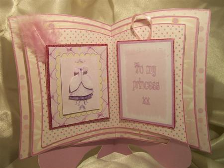 Little Princess Book Kit by Nicky Mason