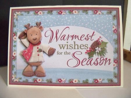 Warmest Wishes by Nikki Bevan