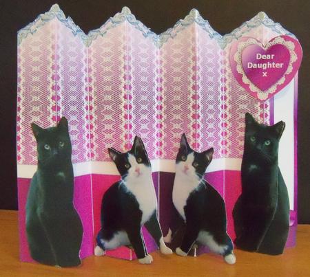 Black - White Cats - Love Hearts 4 Fold Concertina Card Kit by Nikki Bevan