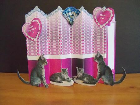 Tabby Cats and Love Hearts 4 x Fold Concertina Card Kit by Nikki Bevan