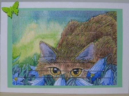 Cat Stalking Through the Harebells Rectangle Pyramid by Nikki Bevan