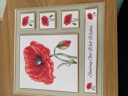 Lovely Poppies - Get Well (Green) by Niki Bailey