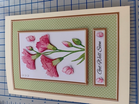 Lovely Carnations N Butterflies - Get Well Soon by Niki Bailey