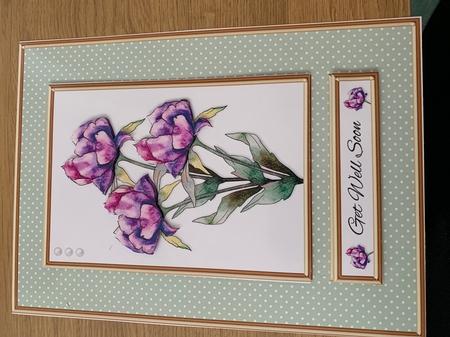 Get Well Soon - Lovely Peonies - Green by Niki Bailey