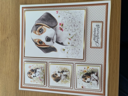 8X8 Dog Collection 3 Mini Kits - x7 Kits with x5 sheets in each design by Niki Bailey