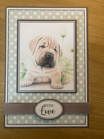 A5 Sharpei Dog Collection Mini Kit - x6 A4 Sheets  by Niki Bailey