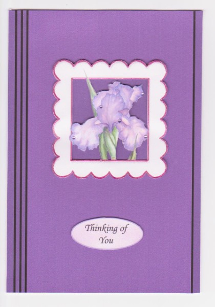 Iris Sympathy Card by Norma Howgate