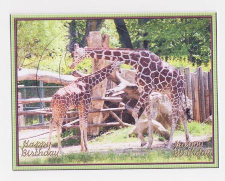 Giraffe Aand Baby by Norma Howgate