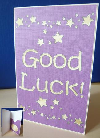 Good Luck Lottery Wallet Card by Norma Howgate