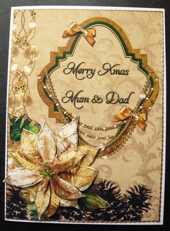 Parents and Poinsettia by Norma Howgate