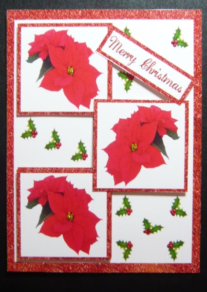 Three Squares Red Poinsettias by Norma Howgate