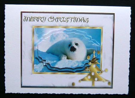 Christmas Harp Seal Pup by Norma Howgate