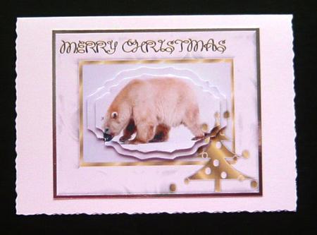 Christmas Polar Bear by Norma Howgate