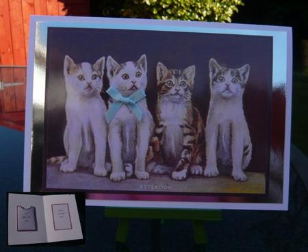 Gift Card Holder - Kittens by Norma Howgate