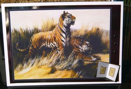 Gift Card Holder - Tigers by Norma Howgate