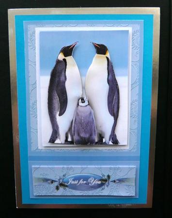 Our Penguin Family by Norma Howgate