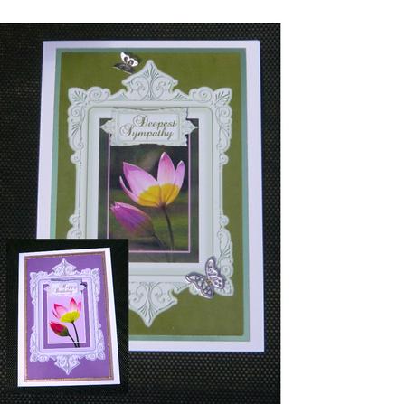 Framed Sunlit Tulips - Birthday, with Love, Deepest Sympathy by Norma Howgate