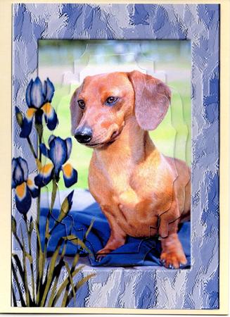 Dachshund with Irises by Pam Howe