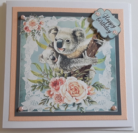 Koala Love by Pam Ogilvy