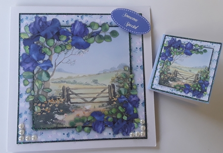 8x8 Mini Kit, Beautiful Blue Irisis by Pam Ogilvy
