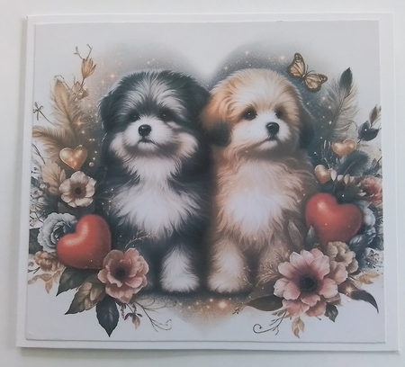 Love Dogs by Pam Ogilvy