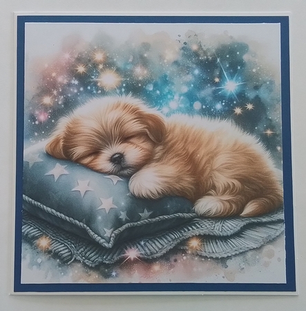 Sleepy Pup  by Pam Ogilvy