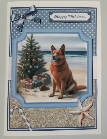 RED CATTLE DOG - request by Pam Ogilvy