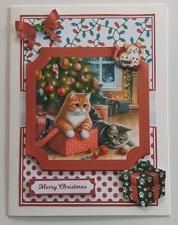 BOXES ARE THE BEST by Pam Ogilvy