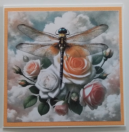 Dragonfly & Roses by Pam Ogilvy