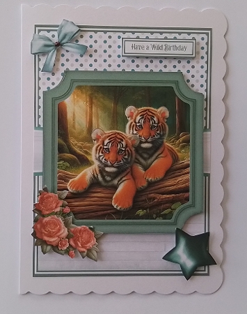 6x6 & 5x7 CUTE CUBS Featured Gallery Photo