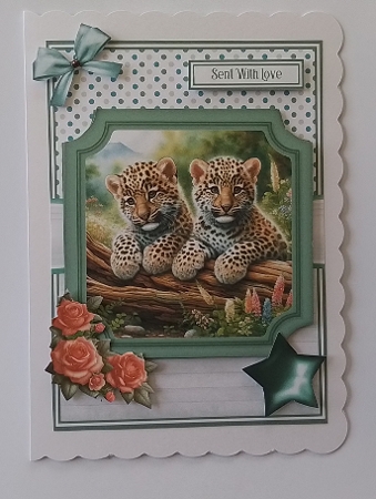 6x6 & 5x7 CUTE CUBS by Pam Ogilvy