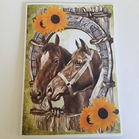 Horses in Horse Shoe with Sunflowers A4 by Pam Ogilvy