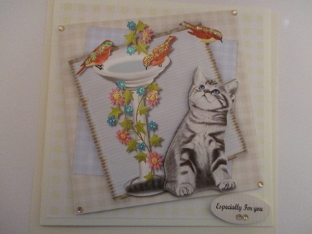 Cute Kitten card Topper by Pam Ogilvy
