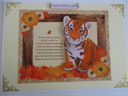 Little Tiger Birthday by Pam Ogilvy