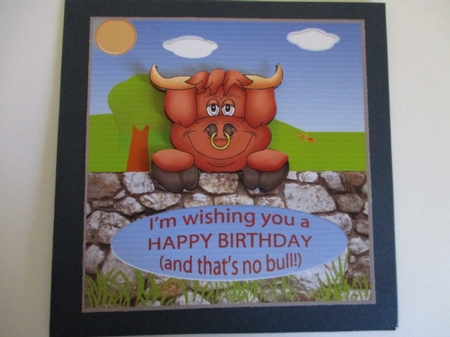 Happy Birthday No Bull 7x7 Card by Pam Ogilvy