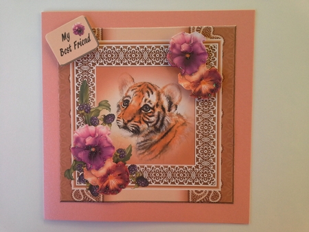 Little Tiger by Pam Ogilvy