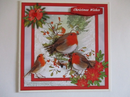 Bbeautiful Robins and Poinsettias  by Pam Ogilvy