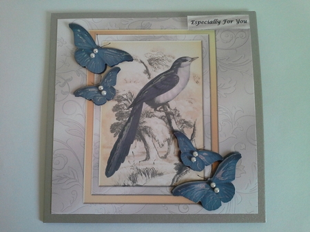 Vintage Bird & Butterflies by Pam Ogilvy