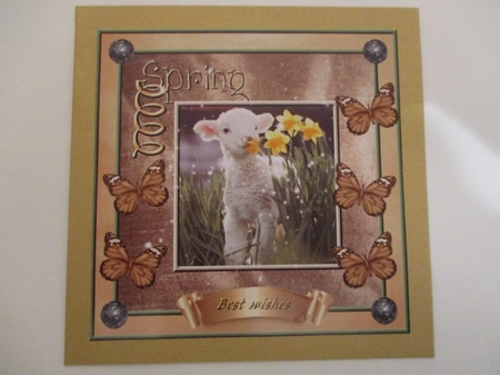 Baby Animals (1) by Pam Ogilvy