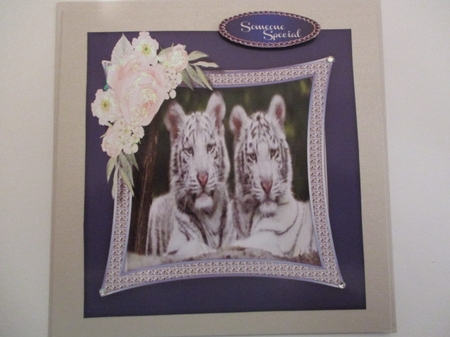 Stunning White Tigers 2  by Pam Ogilvy