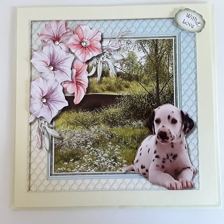 Beautiful Dalmation and Petunias  by Pam Ogilvy